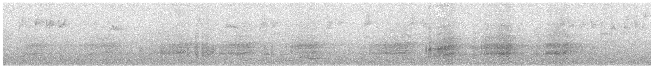 kakadu přílbový - ML536344321