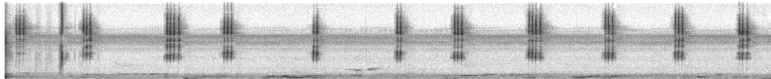 Gray-bellied Tesia - ML536385691