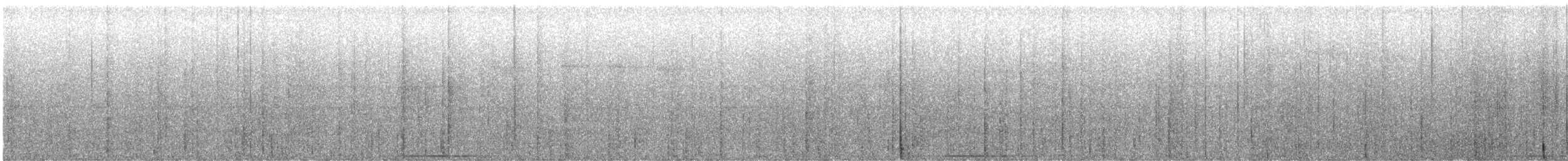Белозобая перепелиная горлица - ML536387311