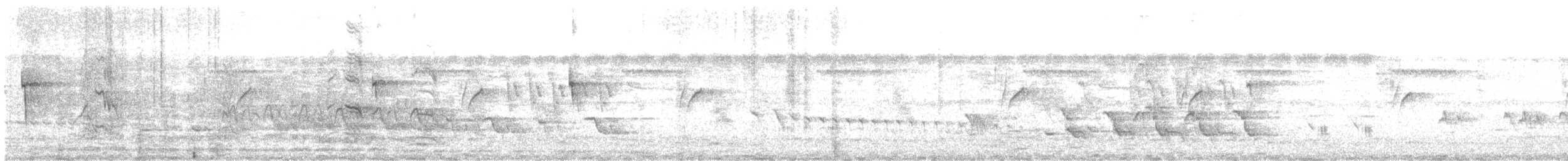 Ошейниковый зимородок - ML536389431