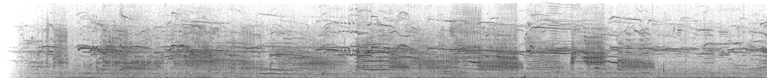 ススケカモメ - ML536393831