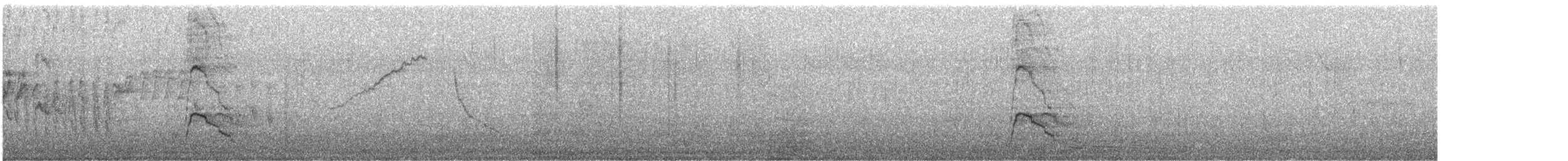 Canard siffleur - ML536417321