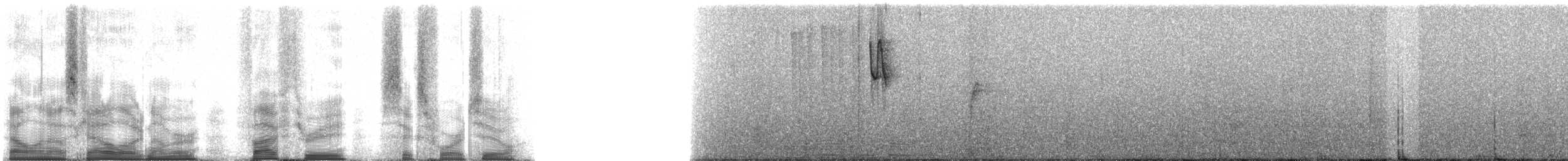 Серобрюхий колибри-отшельник - ML53642