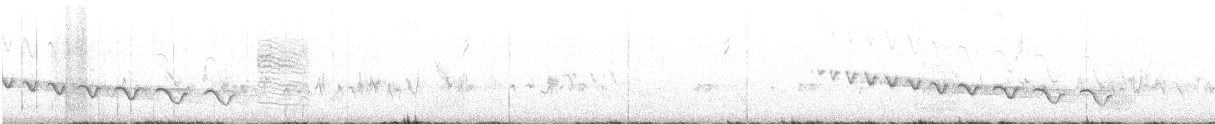 Каньонный крапивник - ML536422011