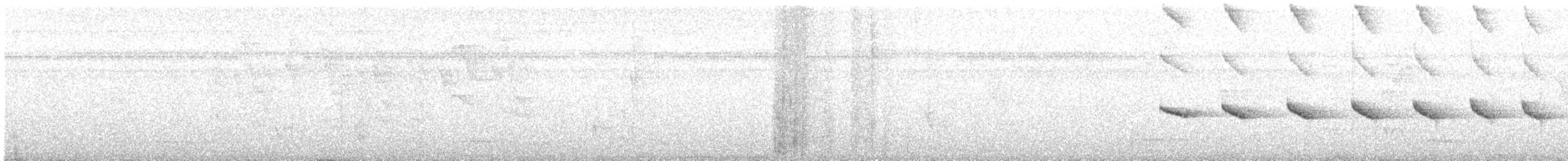 Nacktstirn-Ameisenvogel - ML536422321