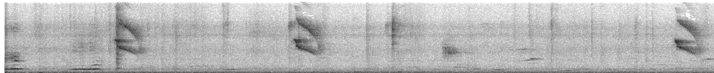 Rotscheitel-Maskentyrann - ML536466471