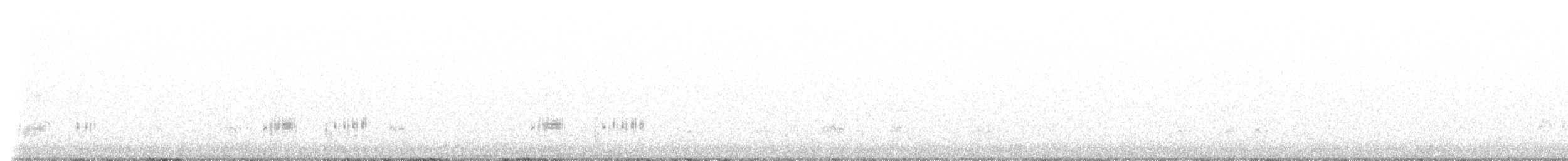 Western Grebe - ML536534341