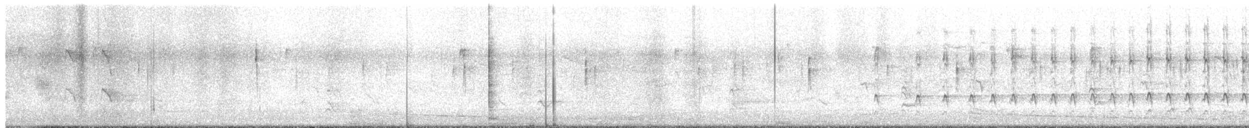 Pic flamboyant - ML536612381