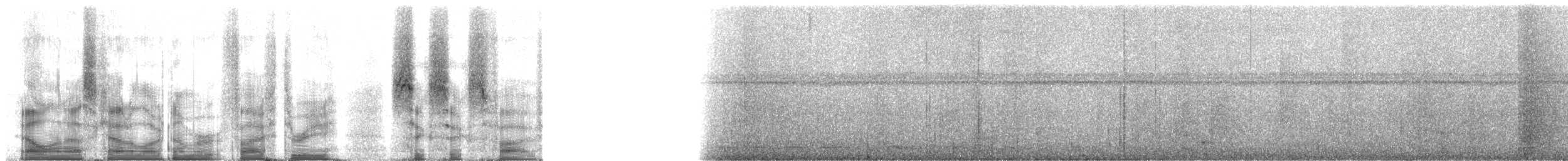 Streifenbrust-Ameisendrossel - ML53665