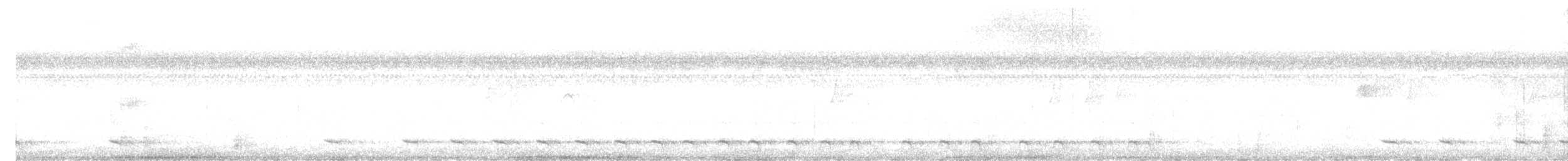 trogon podvazkový - ML536676401