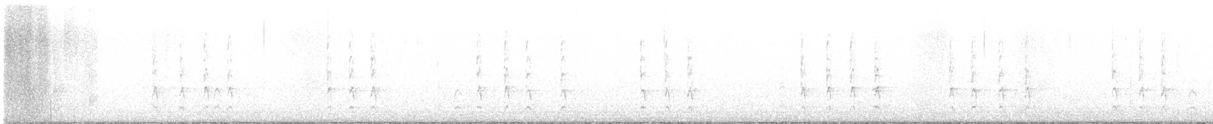 フユミソサザイ - ML536686351