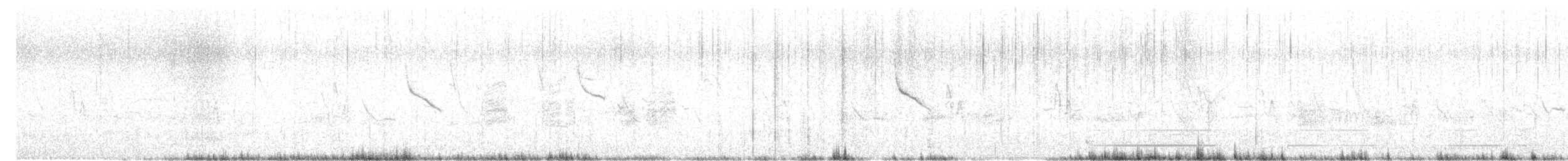 halsbåndfrankolin (henrici gr.) - ML536695581