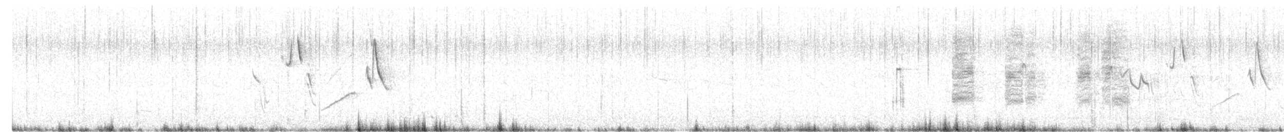 halsbåndfrankolin (henrici gr.) - ML536702431