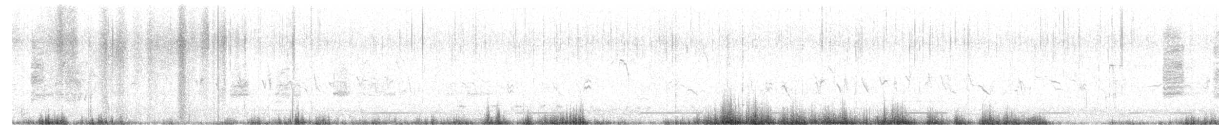 halsbåndfrankolin (henrici gr.) - ML536703161