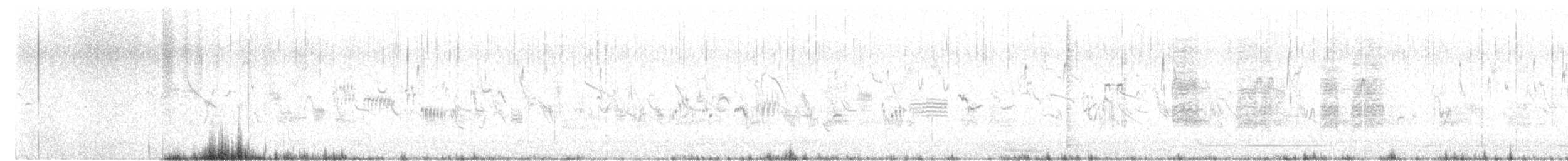halsbåndfrankolin (henrici gr.) - ML536708171
