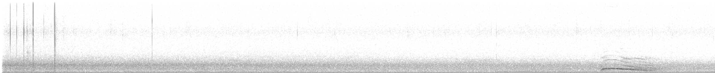 Chouette rayée - ML536730381