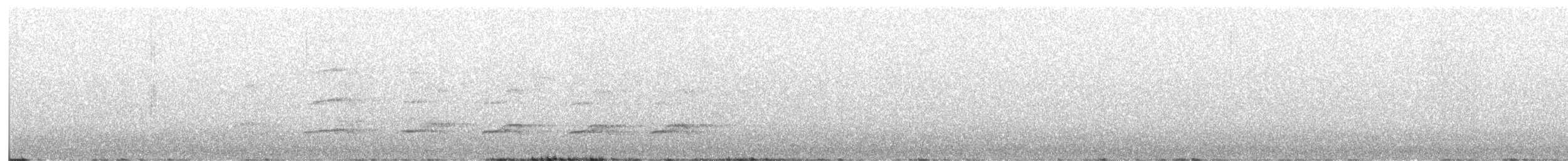 orel bělohlavý - ML536762411