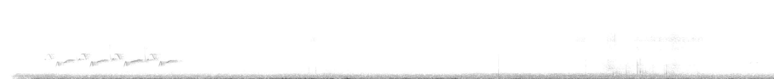 Carolina Wren - ML536885891