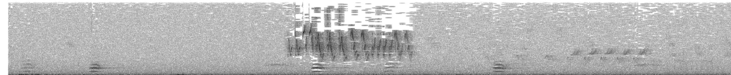 ズアカスズメモドキ - ML53692571