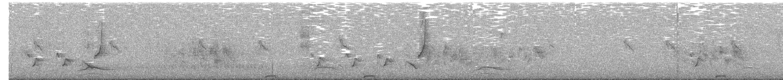 ワタリガラス - ML53692621