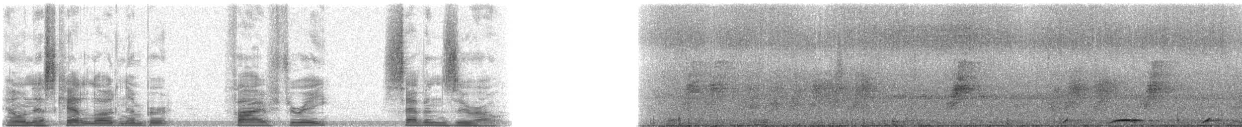 holub angaurský - ML5370