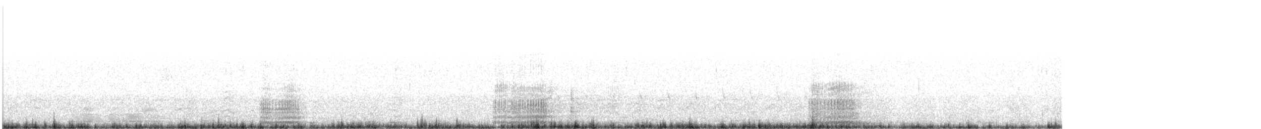 Американская лысуха (Red-shielded) - ML537023551