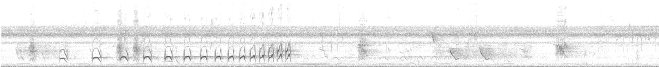 Spotted Tody-Flycatcher - ML537023891