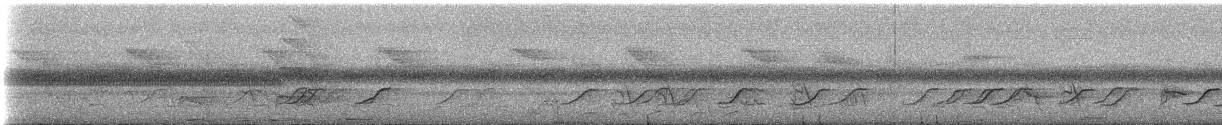 Narrow-tailed Starling - ML537029