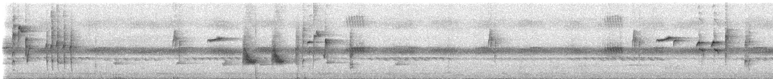 Ak Karınlı Tepeli Sinekkapan (albiventris) - ML537050