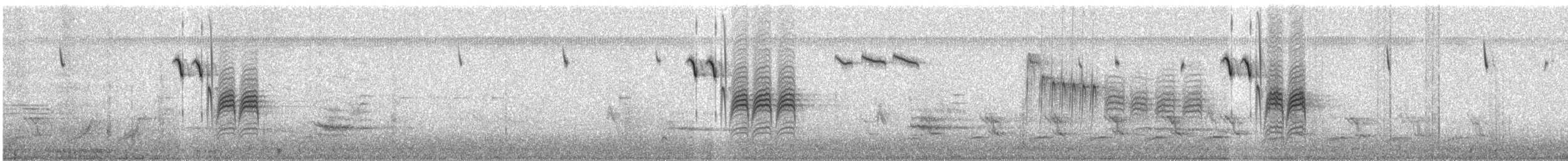 Carolina Chickadee - ML537050341