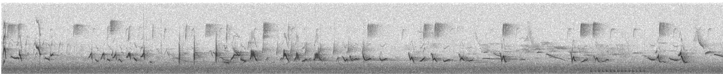 Northern Mockingbird - ML537066731