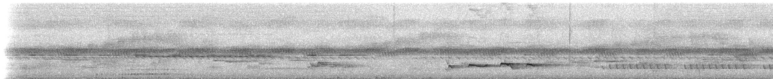Kakameg à poitrine grise - ML537072