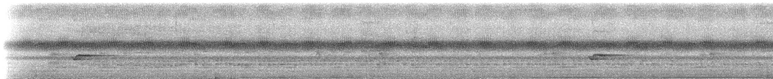 Narrow-tailed Starling - ML537109