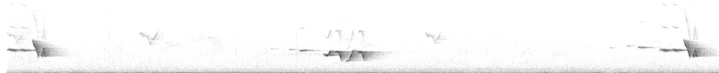 Gray-bellied Tesia - ML537112051