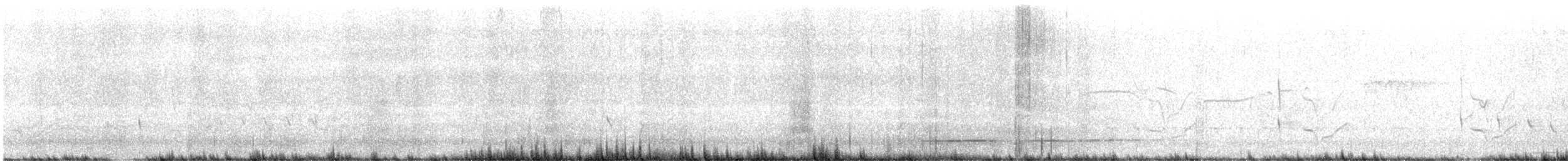 Tinamou superbe - ML537125061