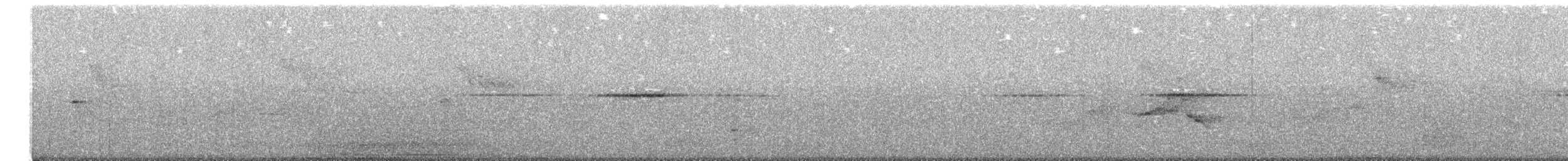 strakapoud bělohřbetý - ML537157471