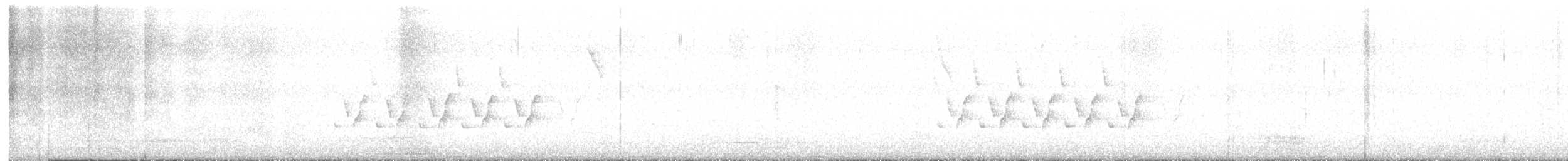 Каролинский крапивник - ML537163521