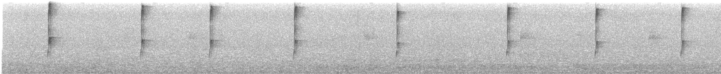 Серогрудый тенелюб - ML537167241
