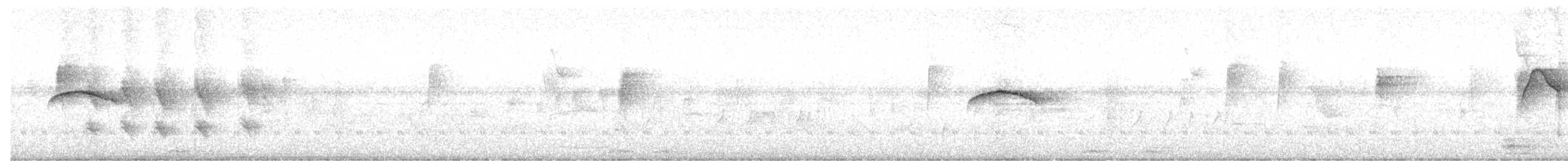 Тиран-крихітка білолобий - ML537173111