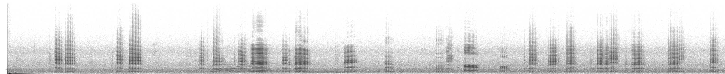 Neotropic Cormorant - ML537188671