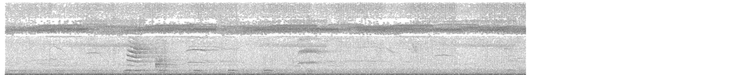 Blongios d'Australie - ML537262141