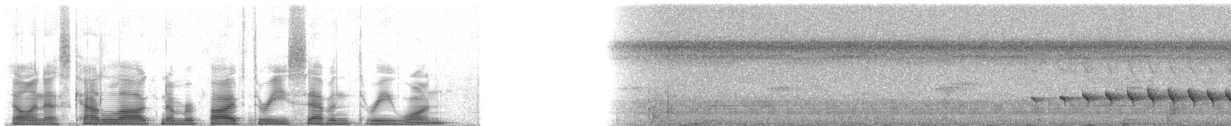 skjeggmaursmett (obscura) - ML53731