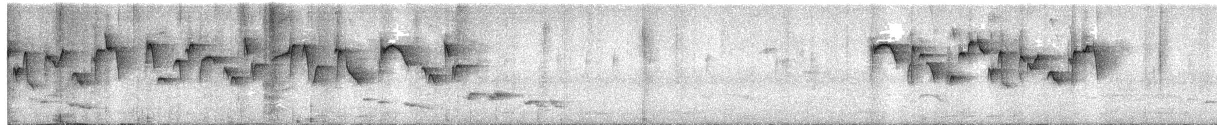 Карликовая нектарница - ML537318961