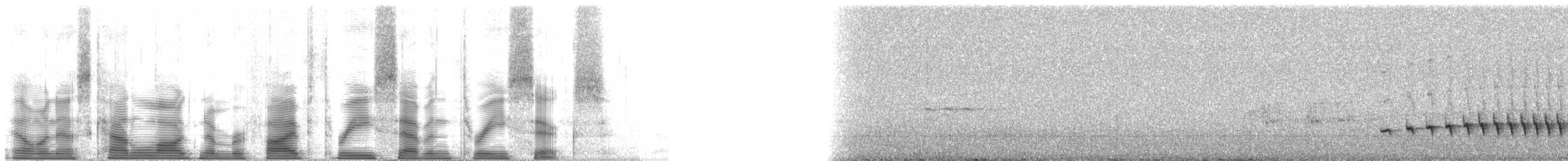 skjeggmaursmett (obscura) - ML53736