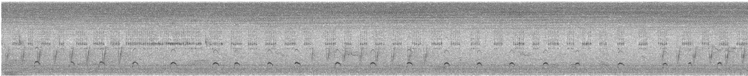 African Finfoot - ML537364281