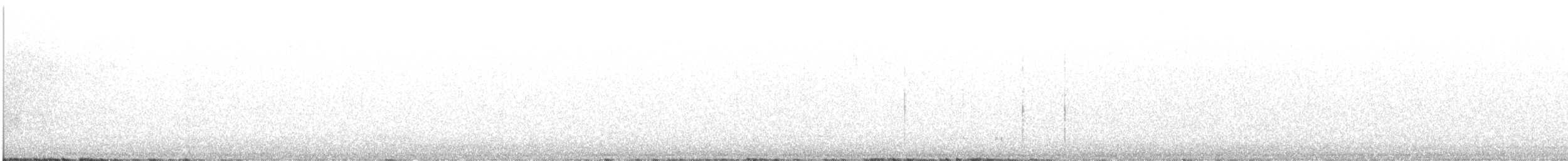 Grass Wren (Austral) - ML537370241