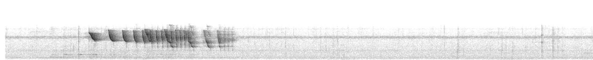 Dusky-tailed Antbird - ML537387891
