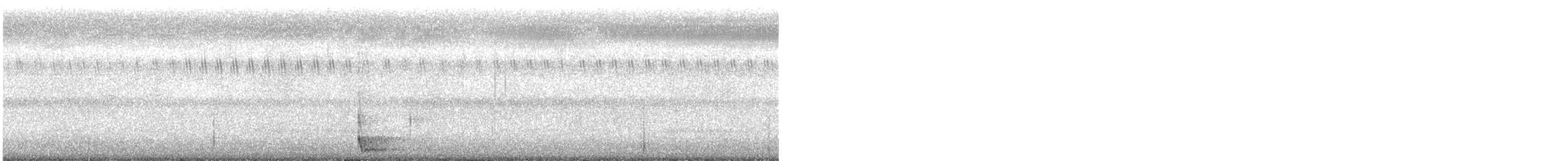 Large-tailed Nightjar - ML537392181