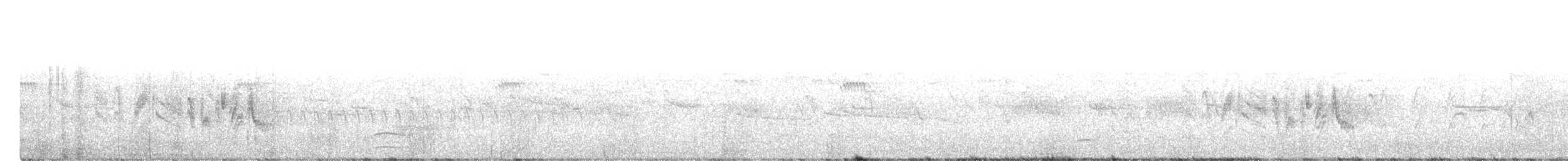 Vireo de Bell (arizonae) - ML537413401