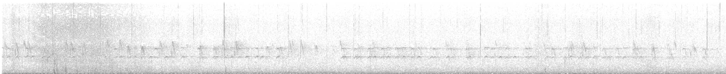 Bec-croisé des sapins - ML537440521